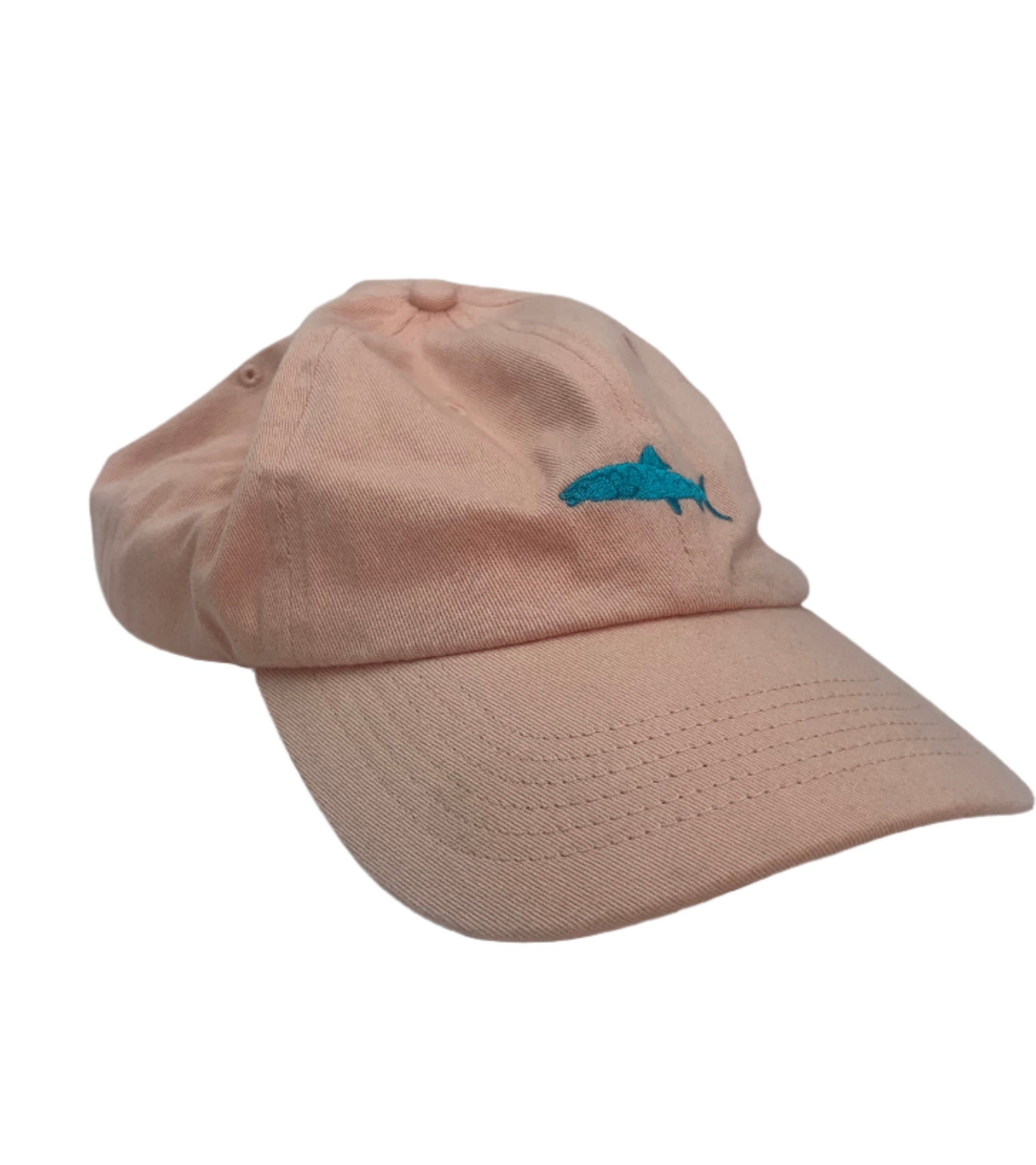 Trucker Hat / Baseball Cap, assorted styles and colors