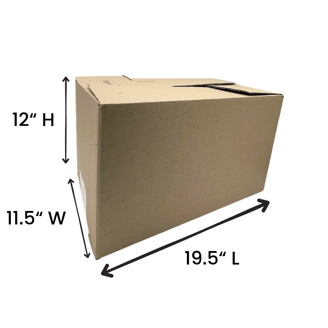 Braces and Supports - Assorted Box