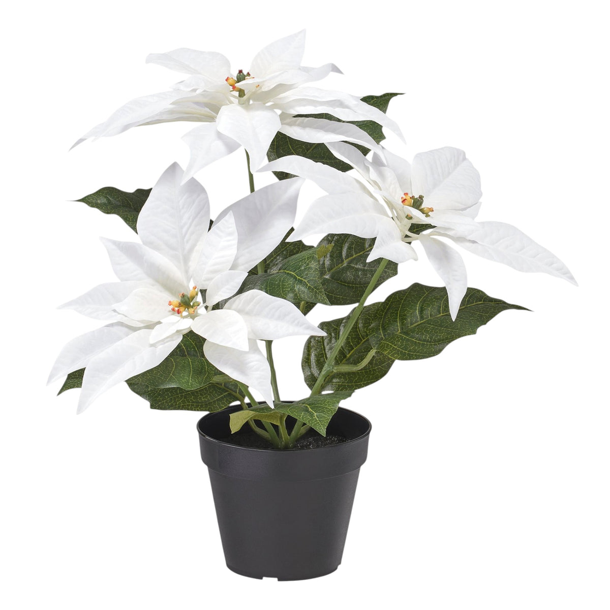 Artificial Poinsetiia Plant, White – IKEA Vinterfint