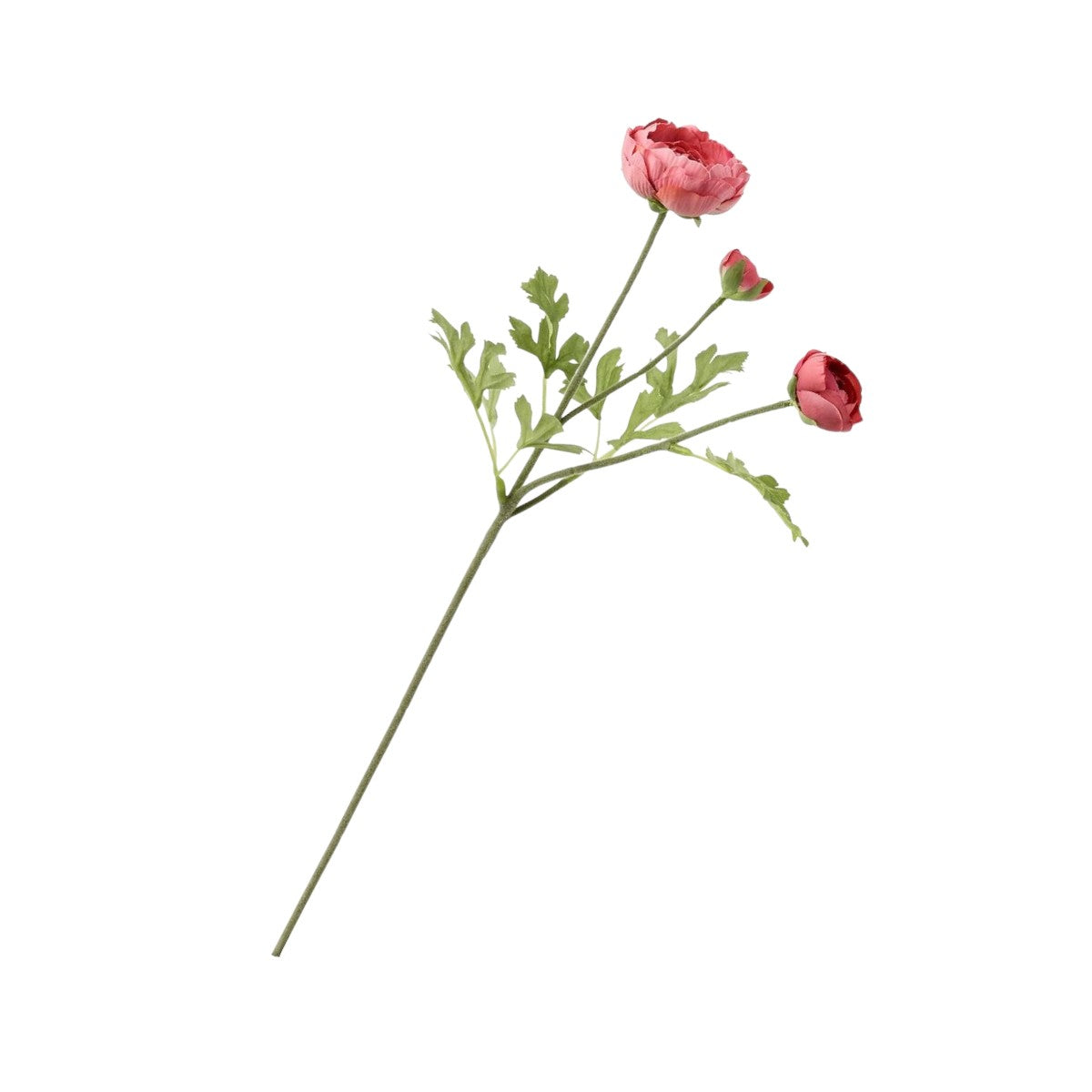 Artificial Ranunculus Flower Stem - IKEA Smycka