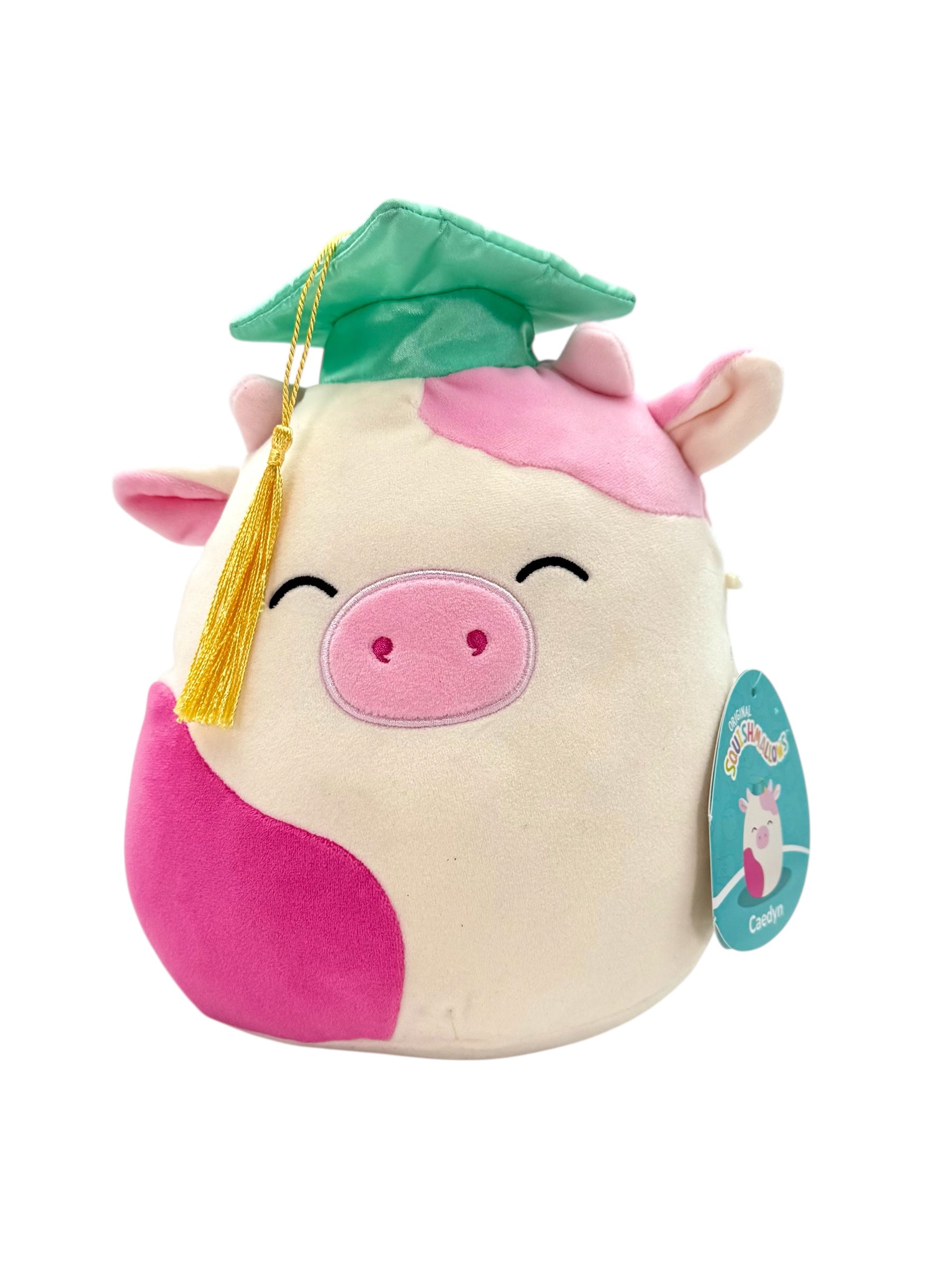 Graduation Squishmallow Cow