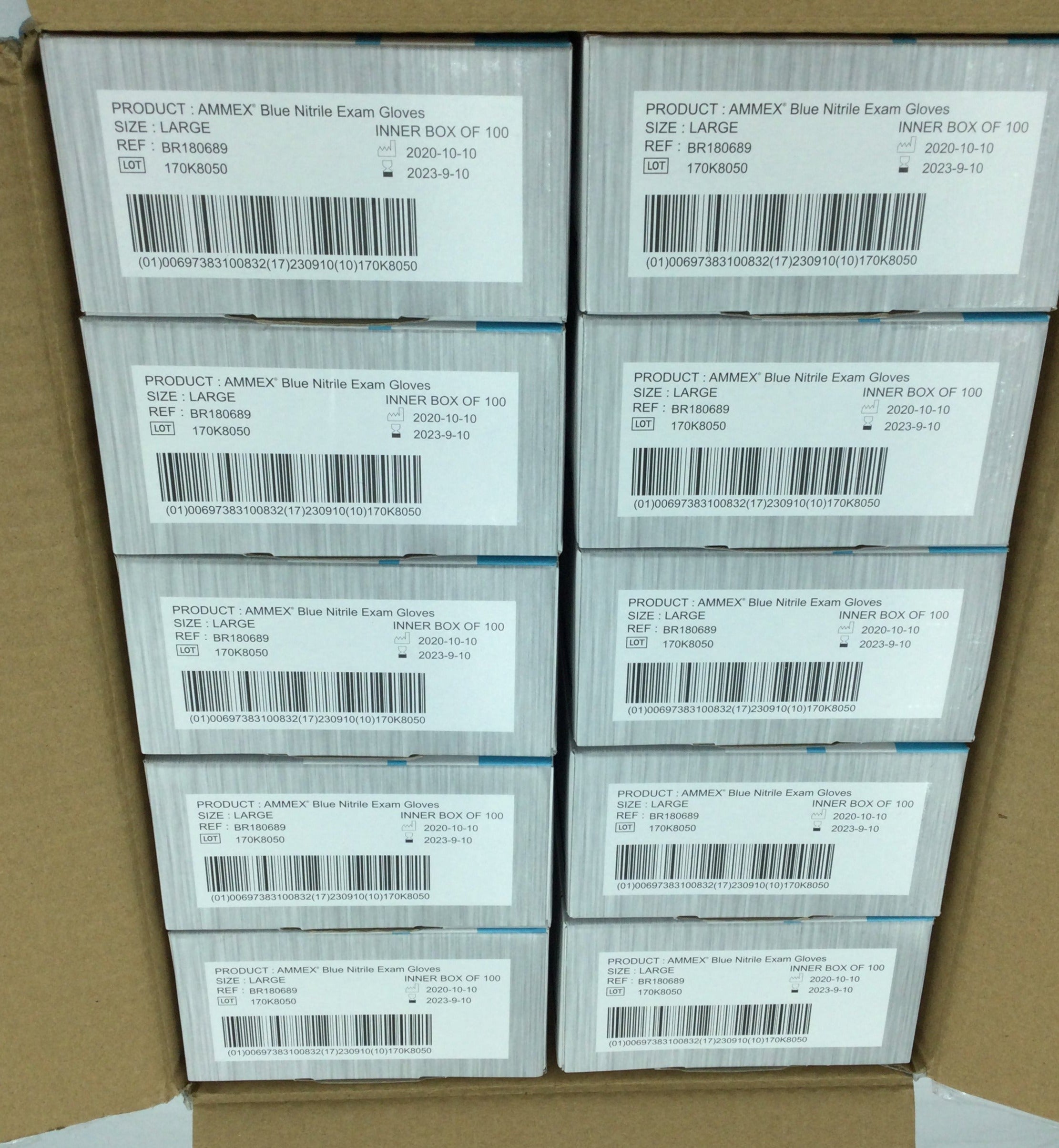 Vinyl Exam Gloves. Ammex, 100 Gloves per pack. Case of 10 packs.