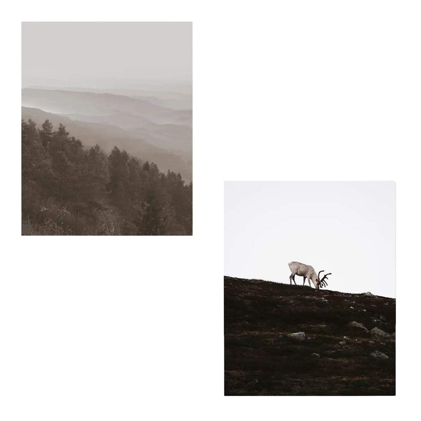 Art Prints, Wandering Reindeer, Set of 2 - IKEA Pjätteryd