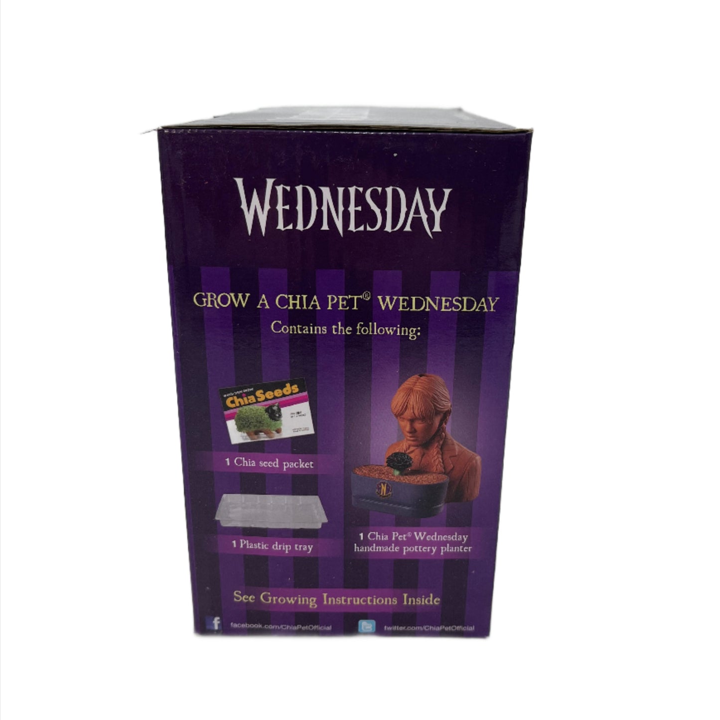 Activity Kit, Chia Pet Planter- "Wednesday/Addams Family"
