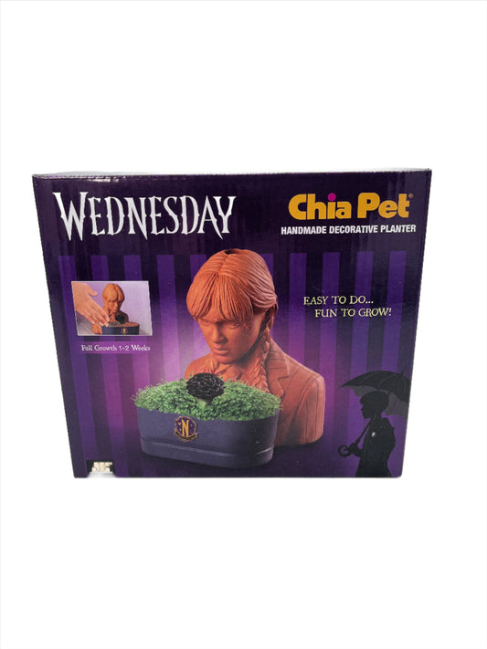 Activity Kit, Chia Pet Planter- "Wednesday/Addams Family"