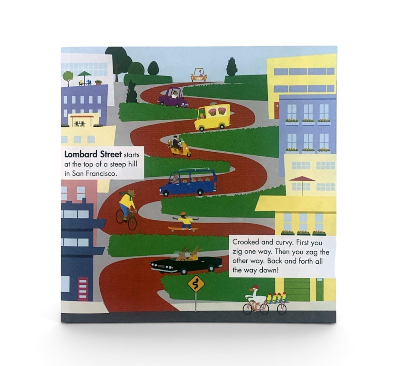 Map It! Jr: Roads and Trails - pack of 10 books