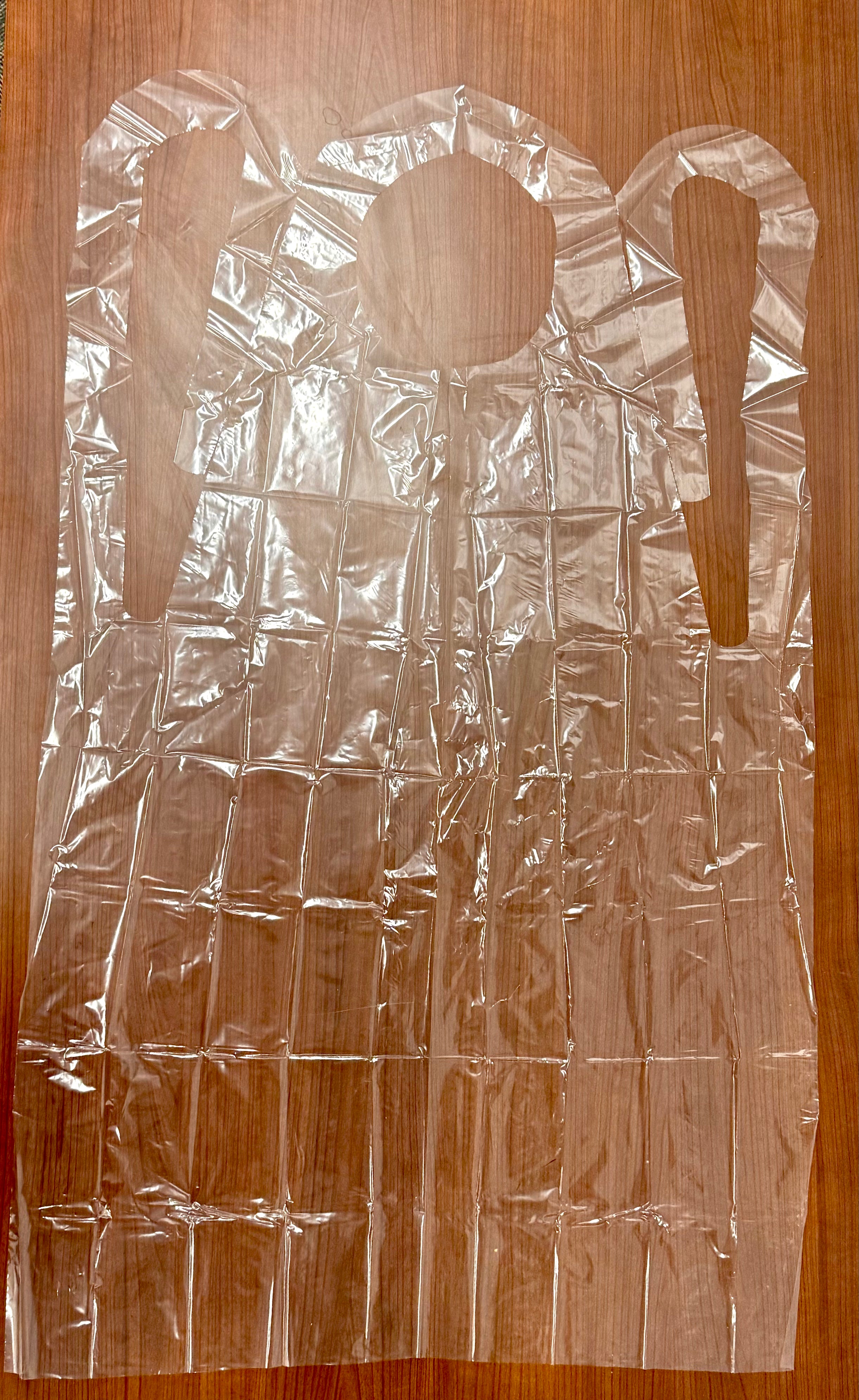 Disposable Aprons. Case of 500 clear aprons.