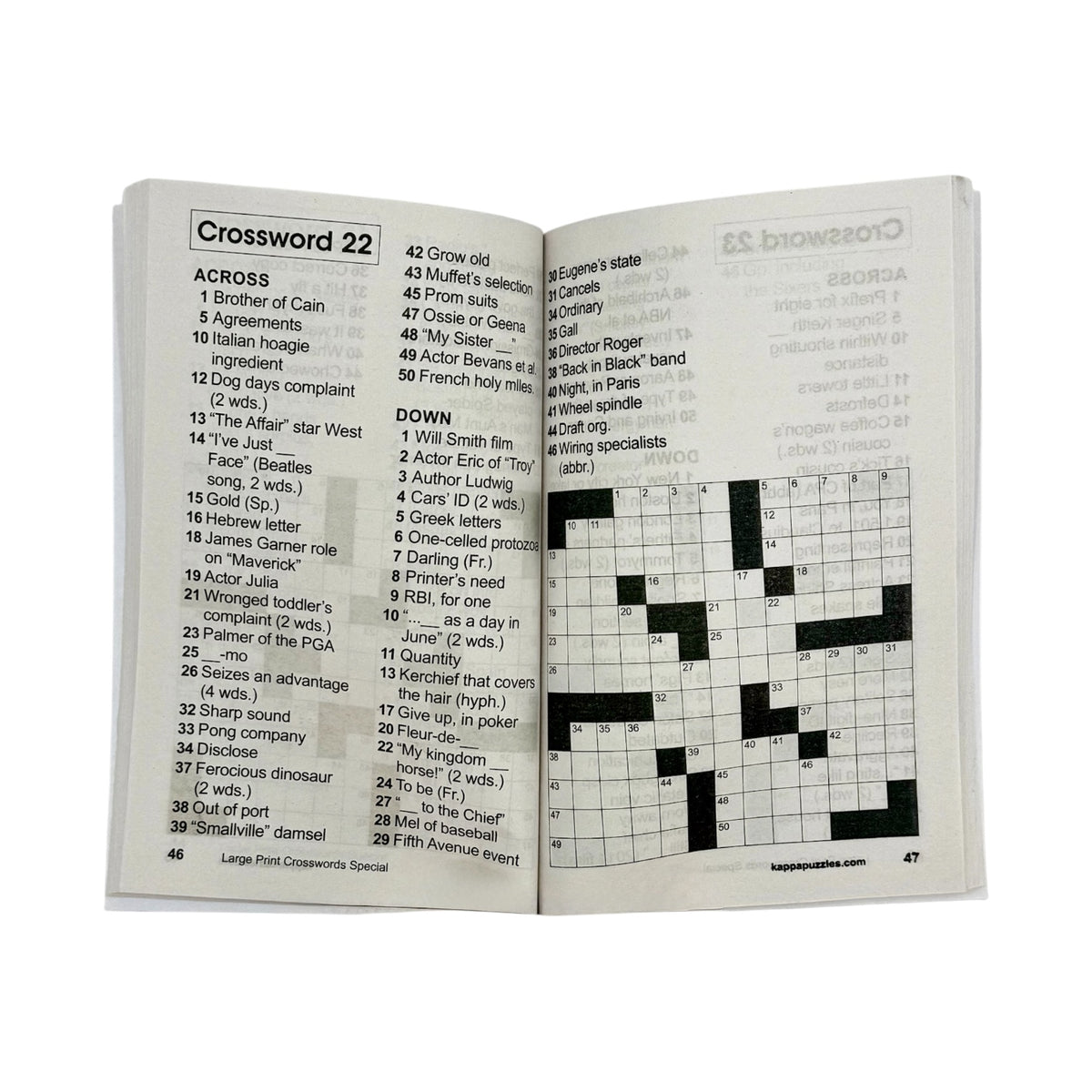 Large Print Crossword Puzzle Book