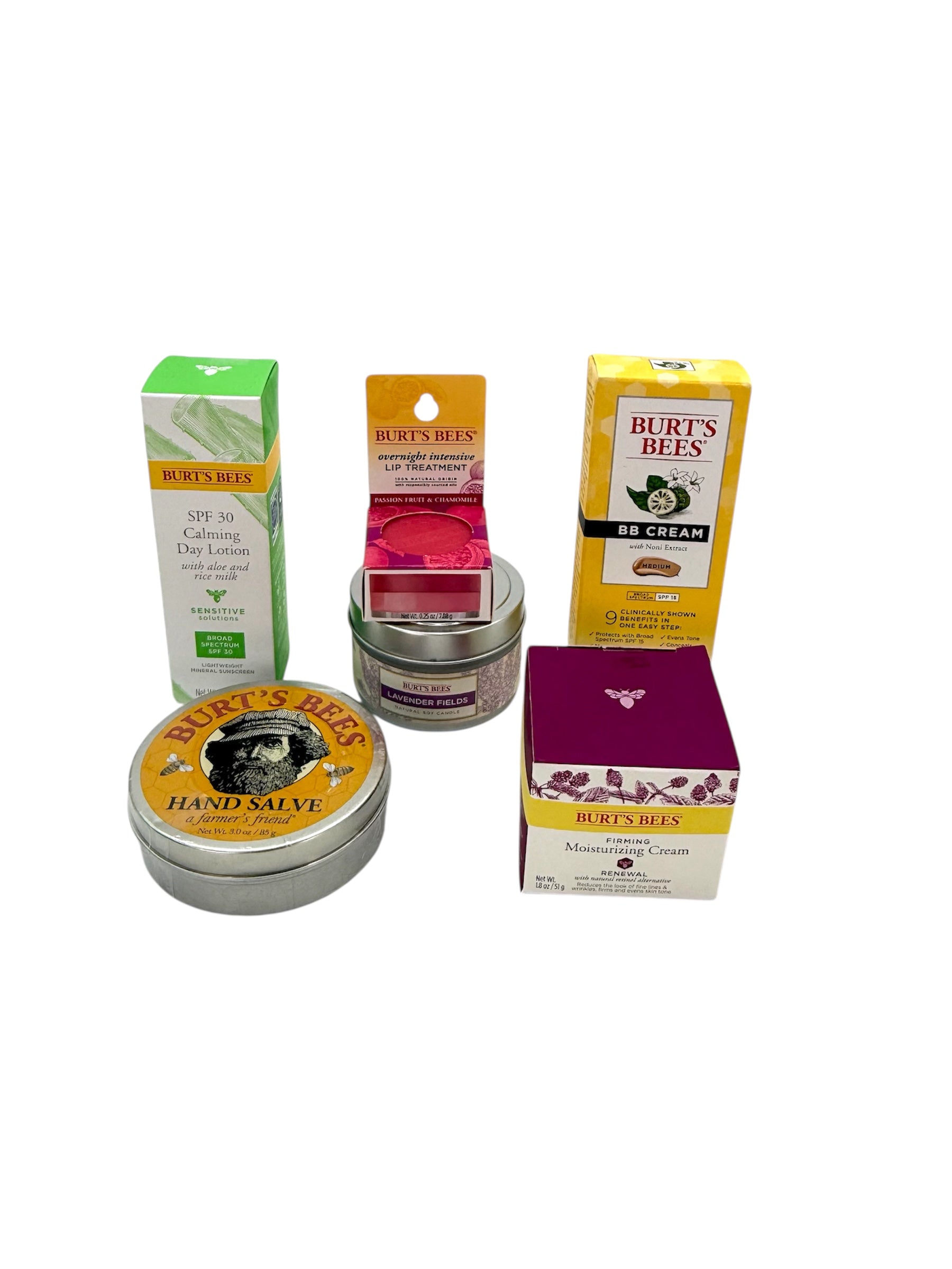 Burt's Bees - Bag of 6 Assorted Products