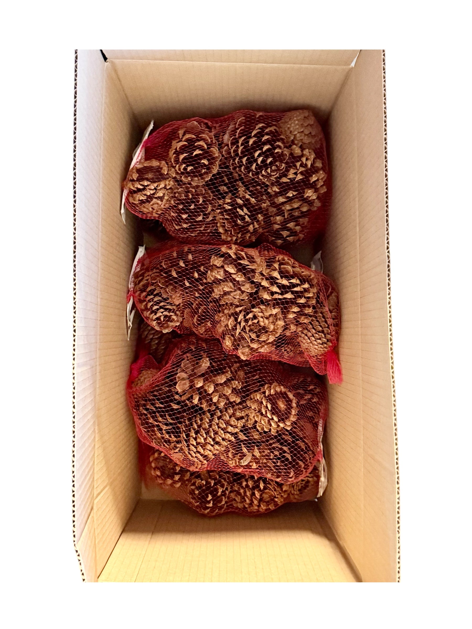 Cinnamon Scented Pine Cones, 10 oz. Bag - Case of 6 Bags