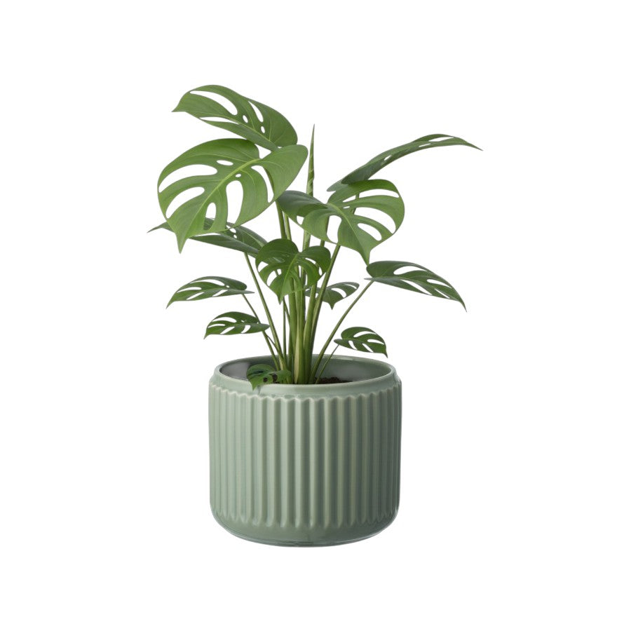 Stoneware Plant Pot - IKEA Stilren