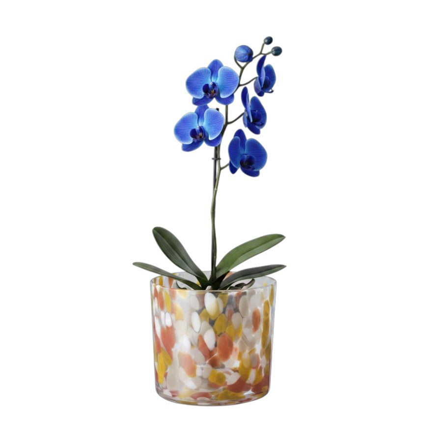 Glass Multicolor 4 3/4" Plant Pot - IKEA Ullsyren