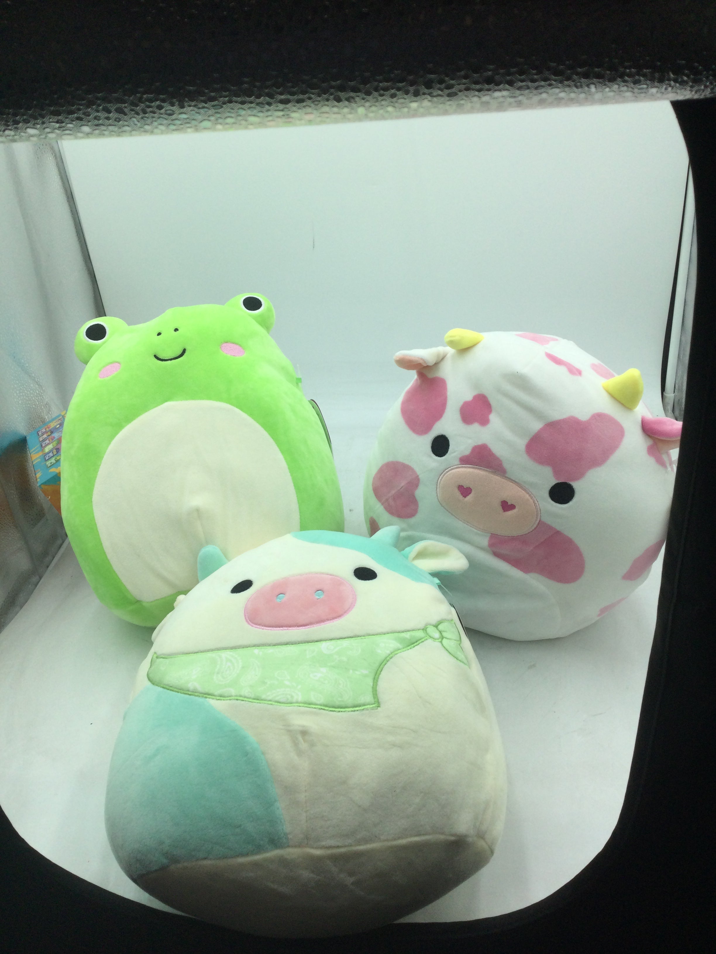 Squishmallows Assorted Types – GiveNKind